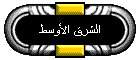 الشرق الأوسط