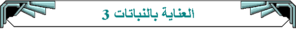العناية بالنباتات 3